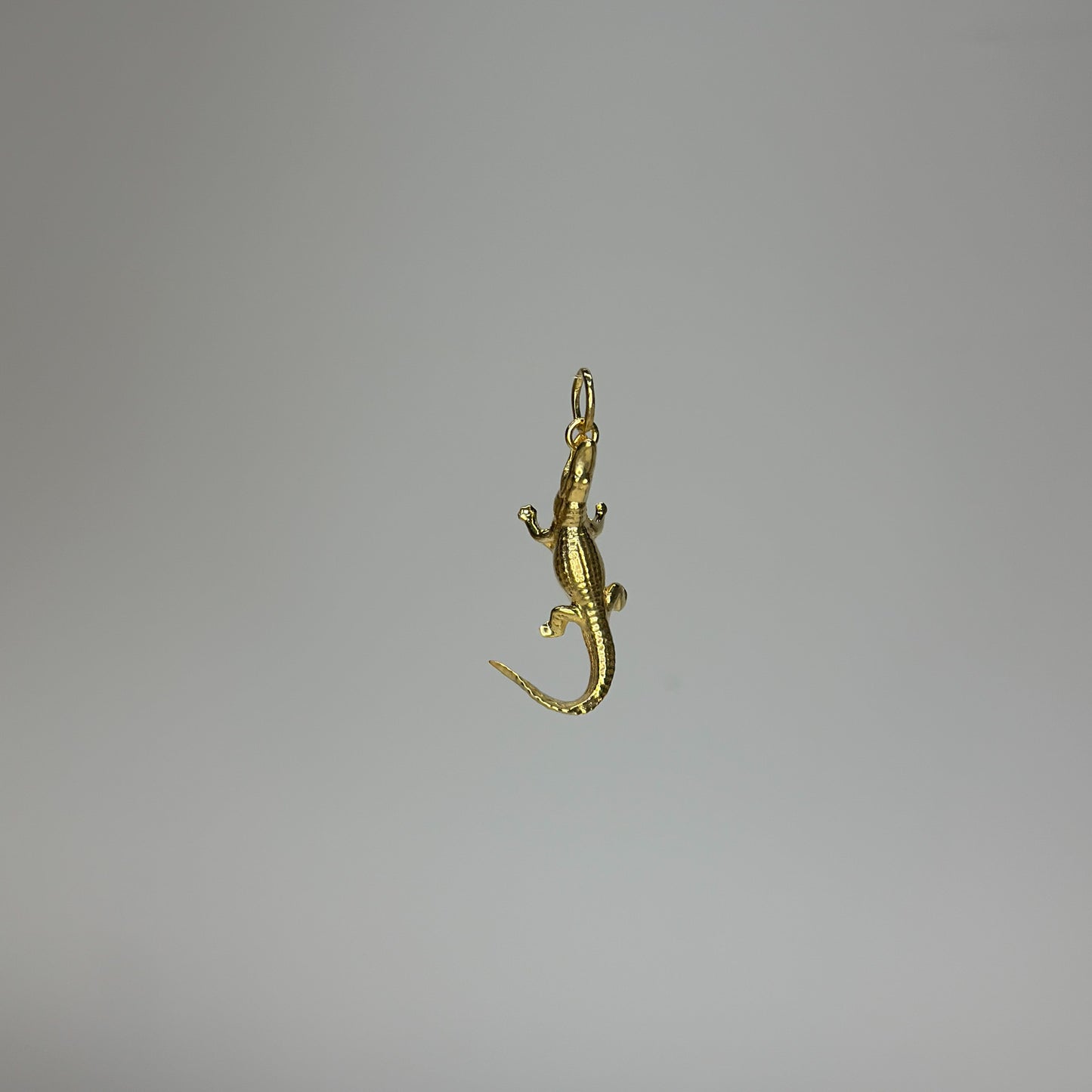 Timsah Charm