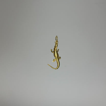 Timsah Charm