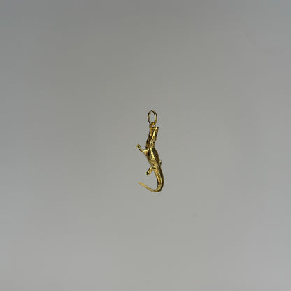 Timsah Charm