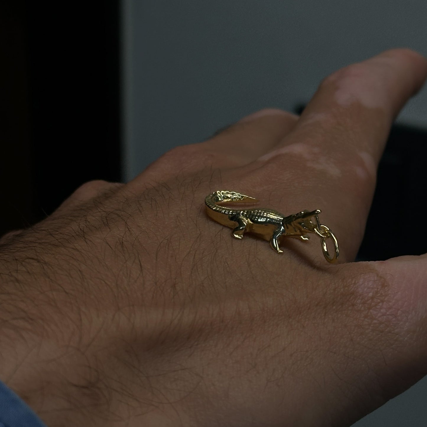 Timsah Charm
