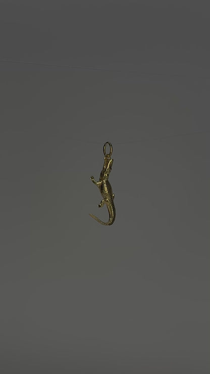 Timsah Charm
